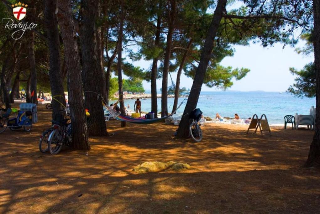 Apartman Sabina Rovinj