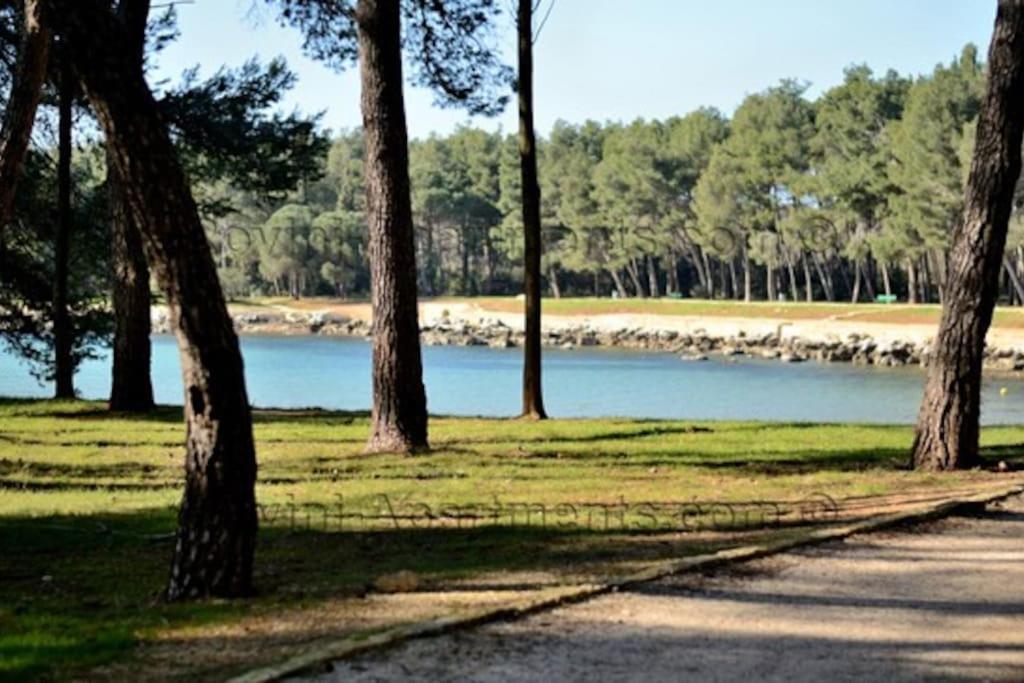 Sabina Apartman